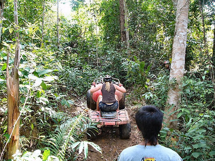 Phuket Atv Tours - a few challening sections.